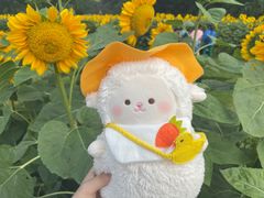 -名创优品(北京新中关购物中心地铁层店)