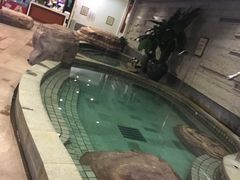 -天目湖涵田半山温泉