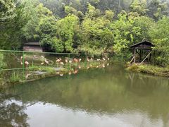 -千岛湖东南湖区