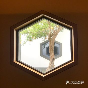 苏州最美的园林|拙政园打卡攻略
