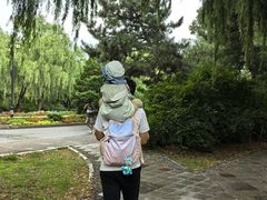 -北陵公园