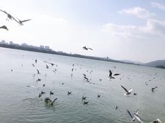 -蠡湖大桥公园