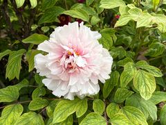 -起源小厨(应天门店)