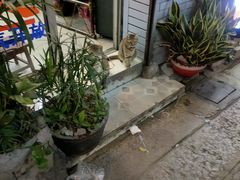 -陈添記·祖傳爽鱼皮·西关老字号(广州首店)