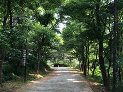 -金龙寺国家森林公园