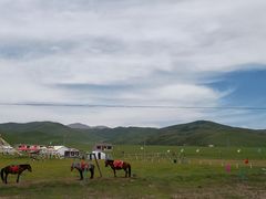 -扁都口生态休闲旅游区