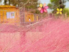 -前小桔亲子创意农场·草莓采摘·露营烧烤