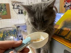 -平行世界·猫咖(首经贸店)