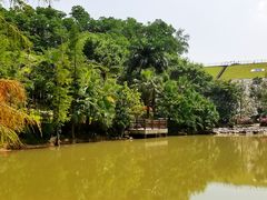 景点-阳台山森林公园