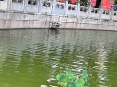 -北京国子监胡同