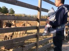 -安德鲁户外烧烤帐篷营地(马泉营店)