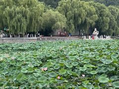 -北山公园