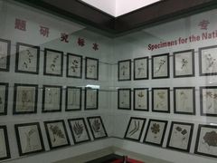 -中国药科大学（江宁校区）-图书馆