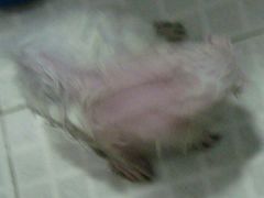 -味庄·家宴(金海四路店)