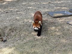 -常州淹城野生动物世界
