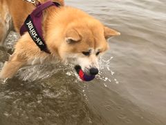 -金梦海湾浴场