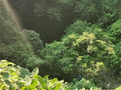 -海口火山口国家地质公园