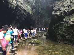 -牛背梁国家森林公园