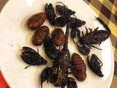 -御温泉·大餐庙会