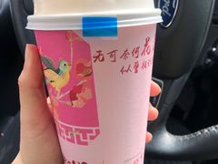 幽幽乌龙-唐沫茶兮(仓山万达金街店)