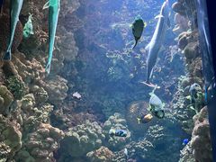 -海合安青岛极地海洋公园