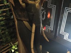 -素可汤泉(天宝大厦店)