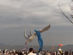 -大梅沙海滨公园