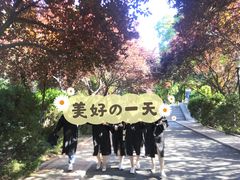 -山东师范大学(千佛山校区)