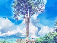 -黄色小屋