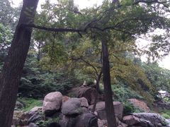 红门国际青年旅舍-泰山红门国际青年旅舍