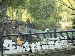 -宁波五龙潭景区