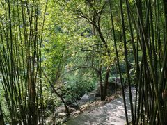 -东莞市大岭山森林公园
