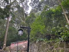 -都江堰普照寺