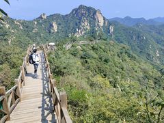 -大岭沟猕猴桃谷风景区