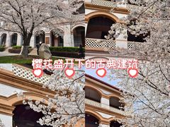 -华东政法大学(松江校区)