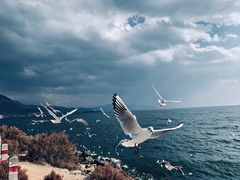 -大理洱海