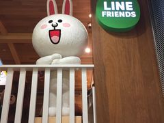-line friends(明洞旗舰店)