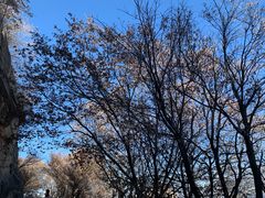 -华山风景名胜区