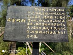-集美学村