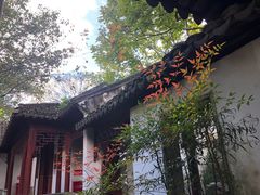 -秋霞圃