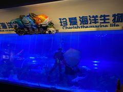 -成都浩海立方海洋公园