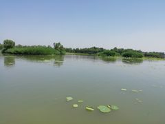 -白洋淀景区