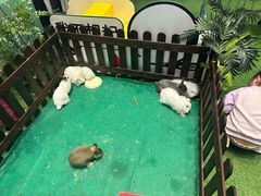 -丽达购物中心(崂山店)