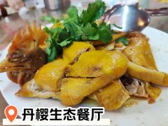 -丹樱生态园