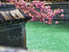 -颐和园