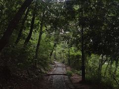 -雨花胜境