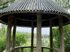 -塘沽森林公园
