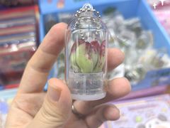 -中福百货(望京店)