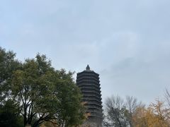 -玲珑塔公园