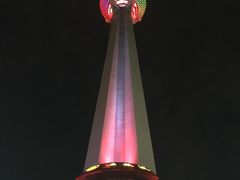 -339旋转餐厅(天府熊猫塔店)